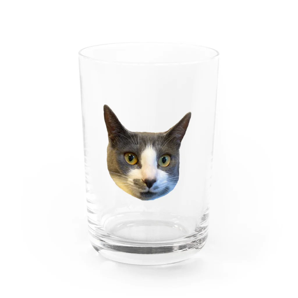 tentenのtentencat😾 Water Glass :front