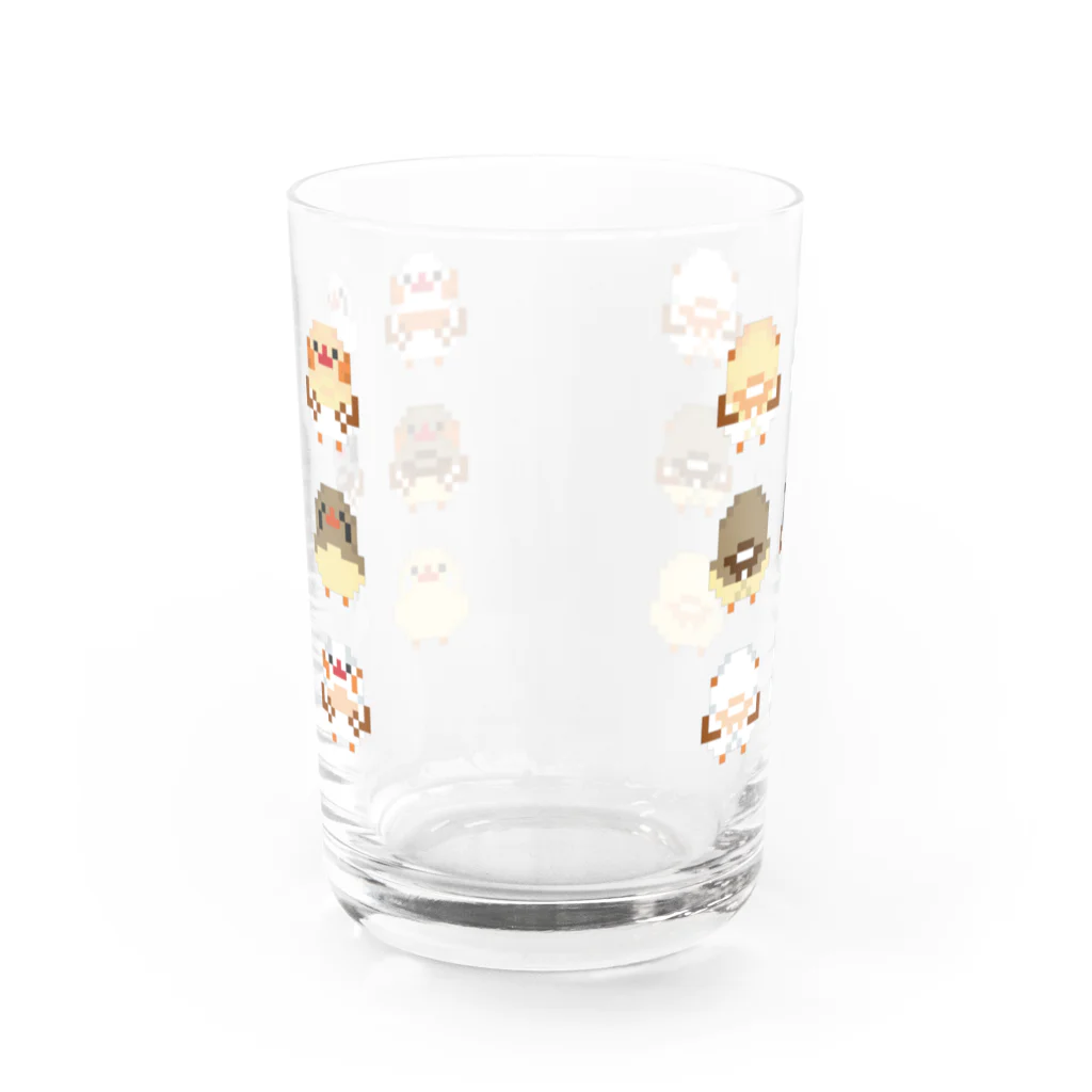 まっふるのドットキンカブラザーズ（前後） Water Glass :front