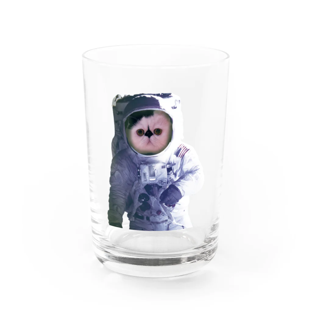 うちの猫はボムといいますの愛猫ボムは宇宙飛行士になった Water Glass :front