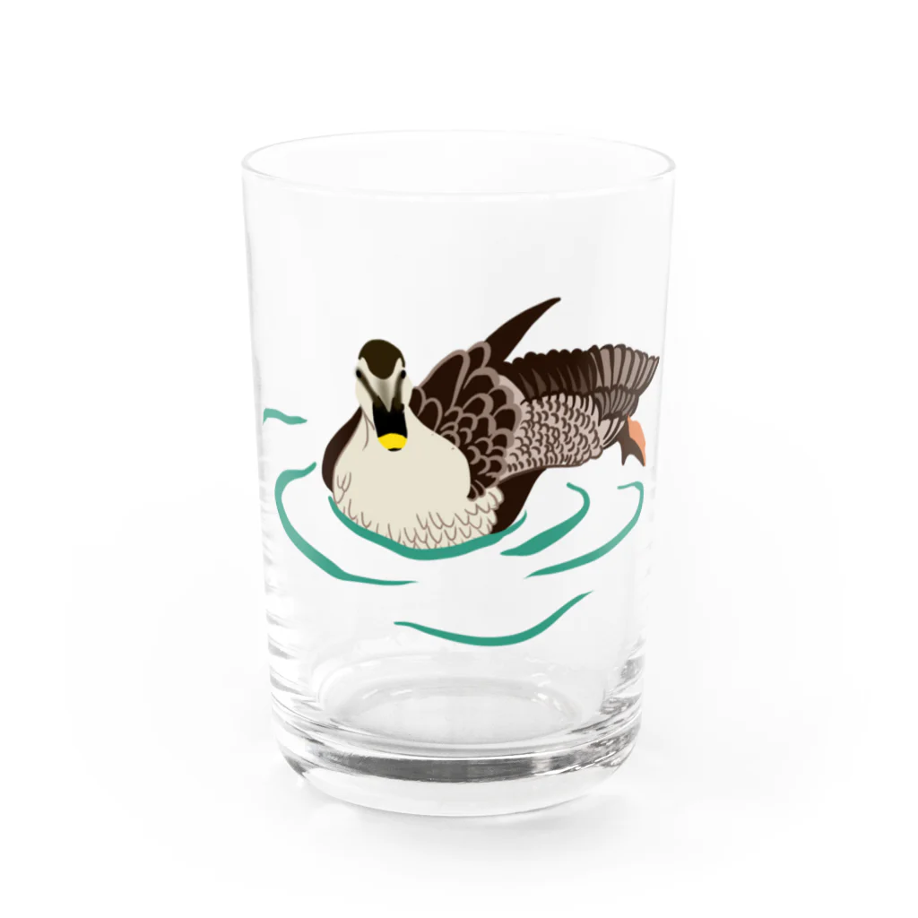 pichikuri_piのカルガモ Water Glass :front