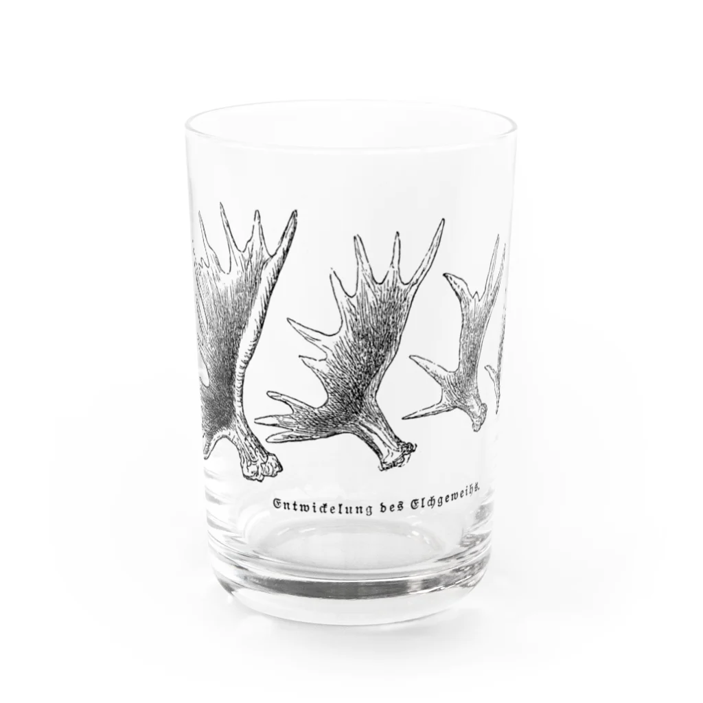 Expressgut602のヘラジカの角 Water Glass :front