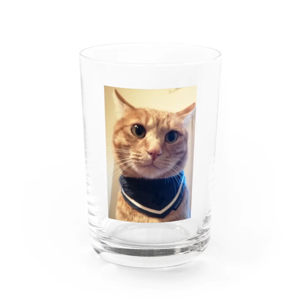 コロピンちゃんshopのコロピンちゃん Water Glass :front