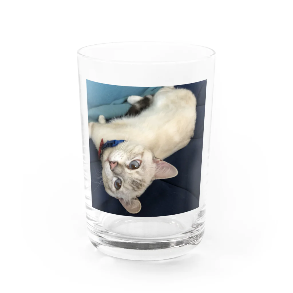 大福のだいちゃん Water Glass :front