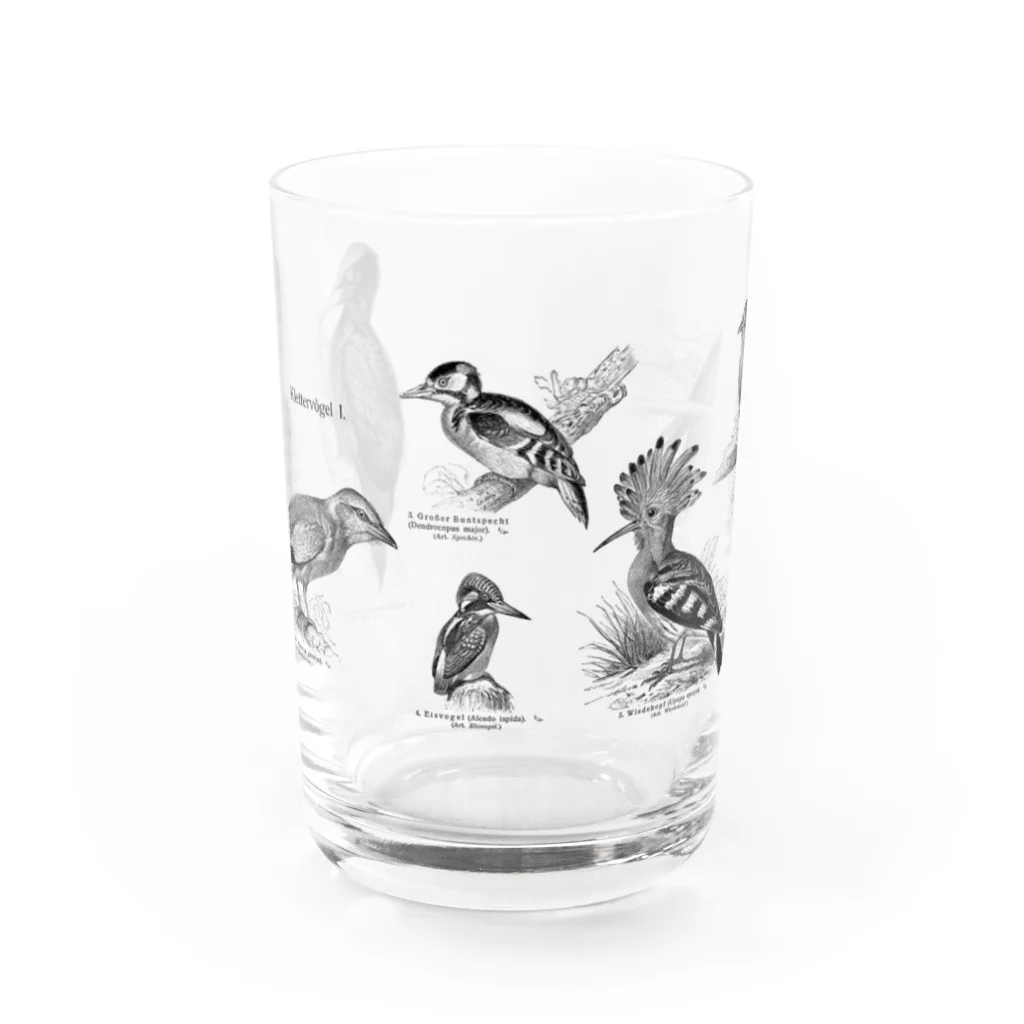 Expressgut602の樹上性鳥類1 Water Glass :front