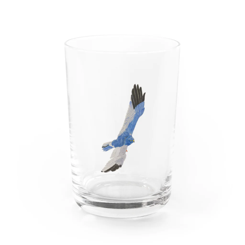 Coshi-Mild-Wildのハイイロチュウヒ Water Glass :front