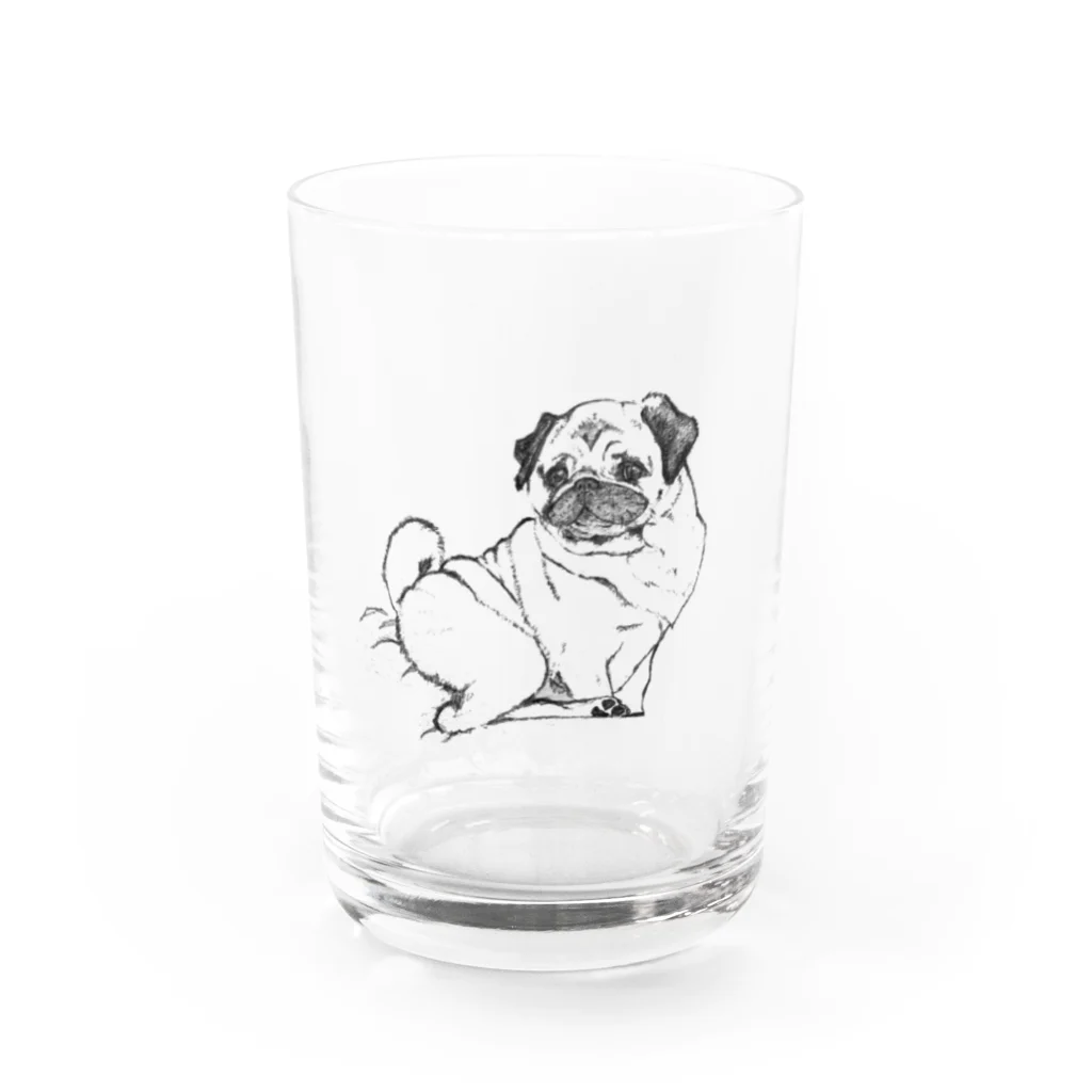 パグ画像あかうんとのおすわりフォーンパグちゃん　 Water Glass :front