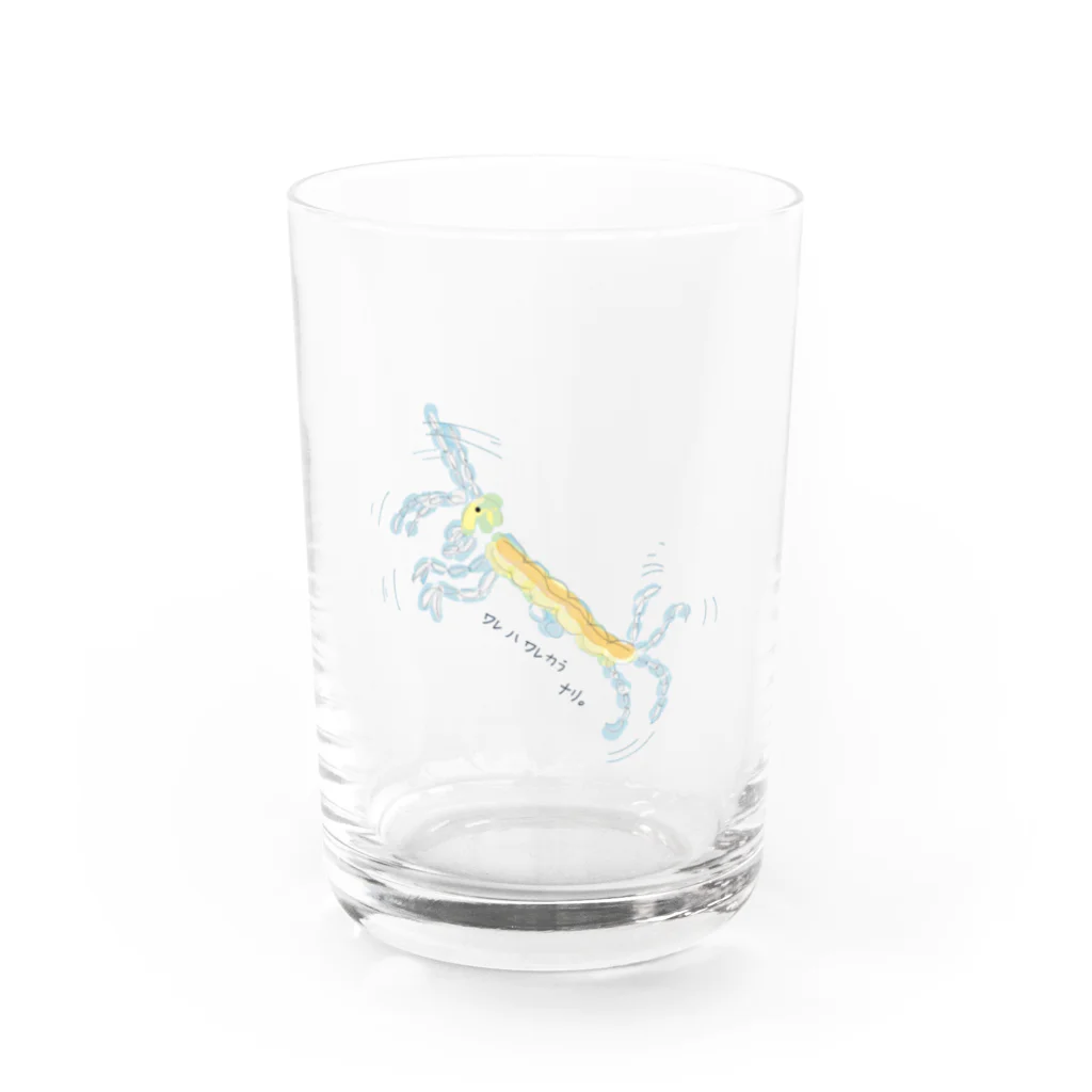 ワンモナイトのワレカラ Water Glass :front