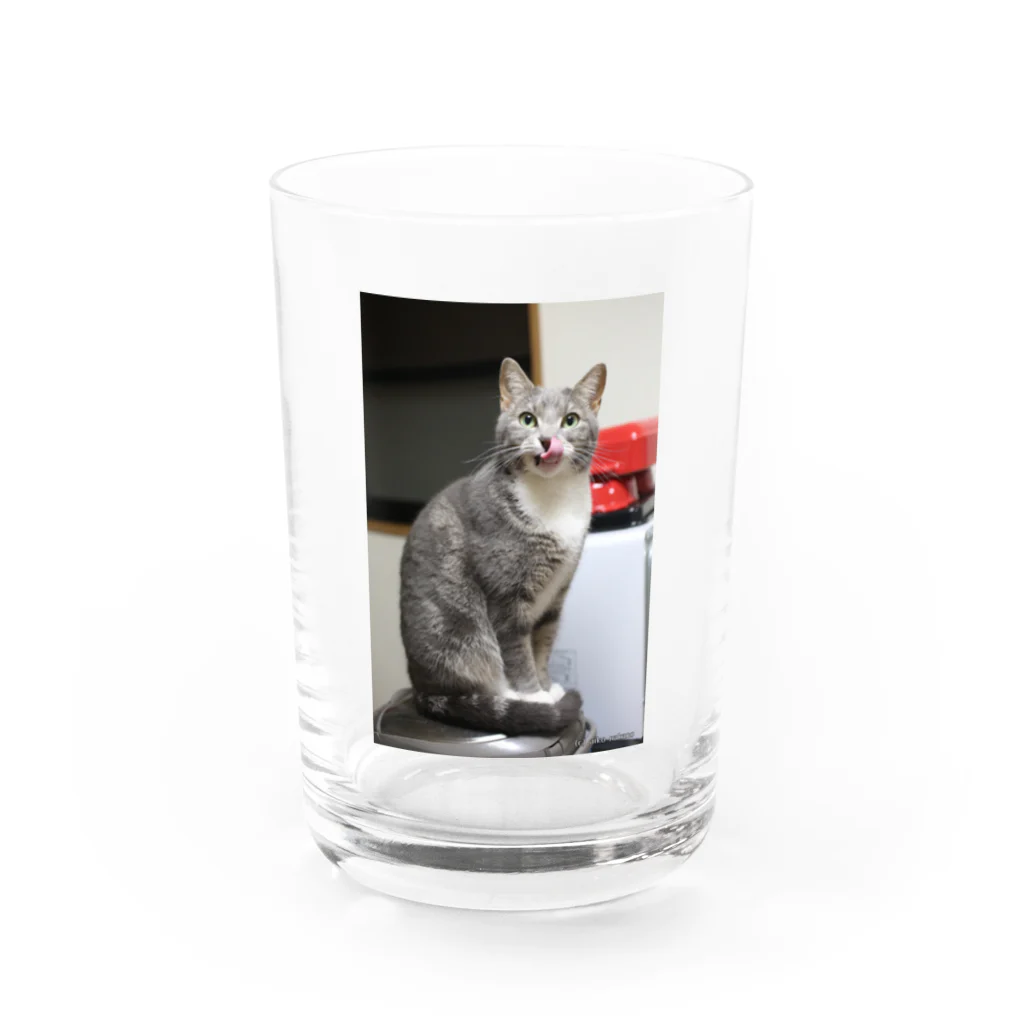 Aiko Nakanoの炊飯器は暖かいね Water Glass :front