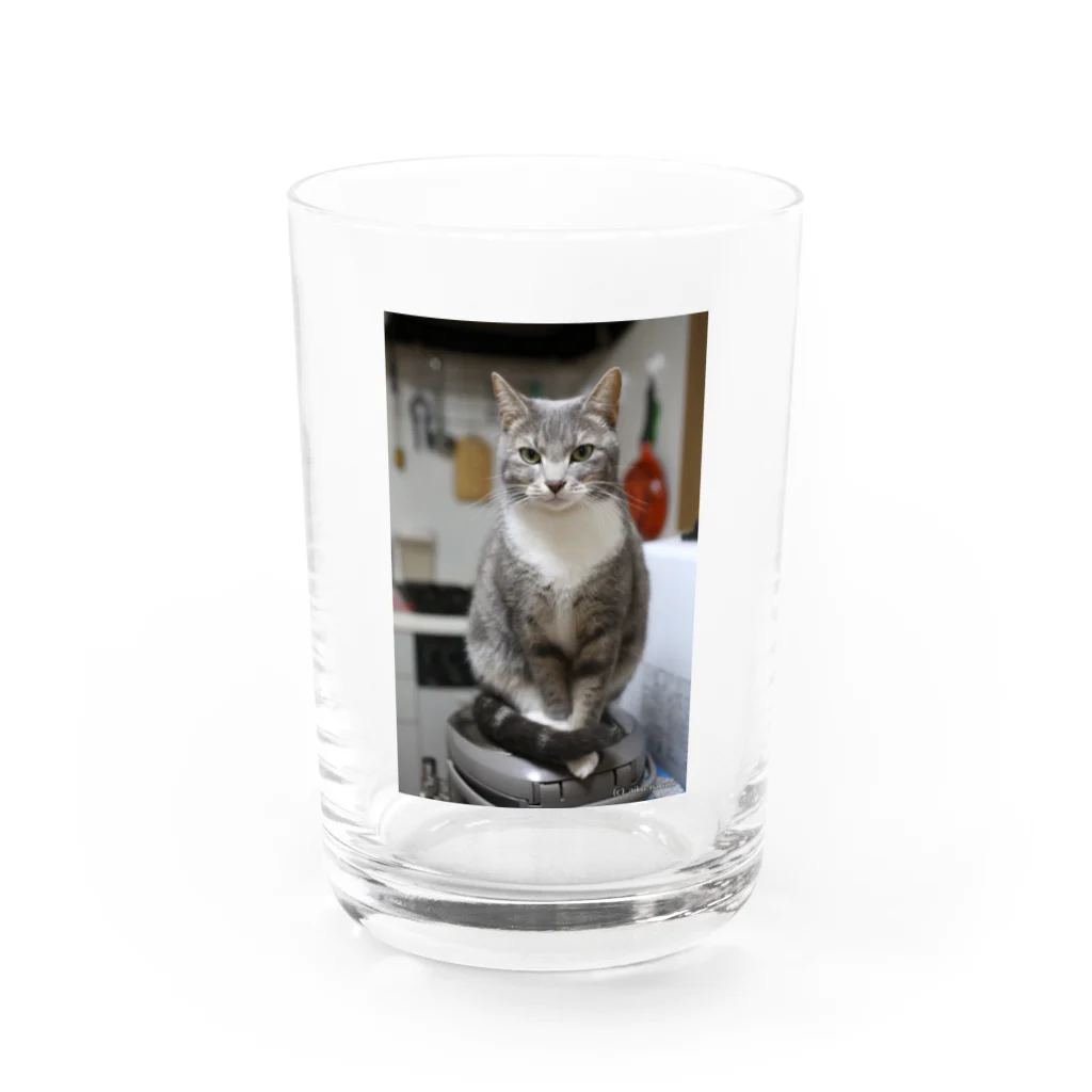 Aiko Nakanoの炊飯器に乗って何が悪いの？ Water Glass :front