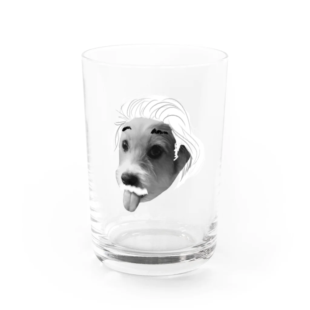 ぱんちを愛でる。のあいんしゅたいんぱんち Water Glass :front