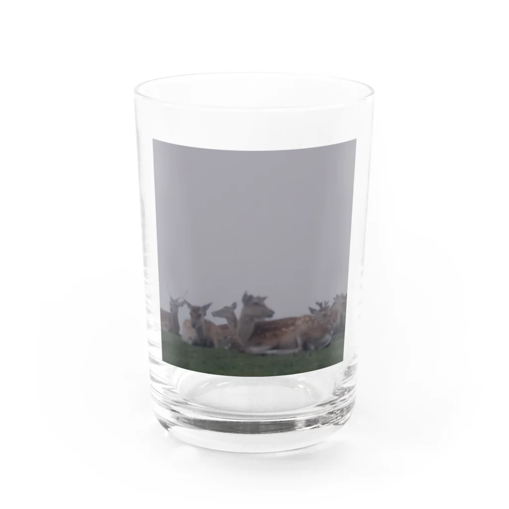 PORTONE, ART, LABORATORY.のFog and deer II Water Glass :front