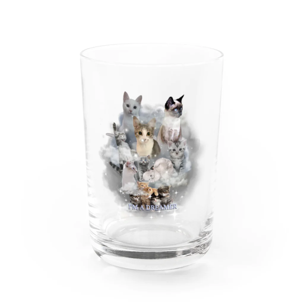 ねこスタジオの飼い猫とみんな Water Glass :front