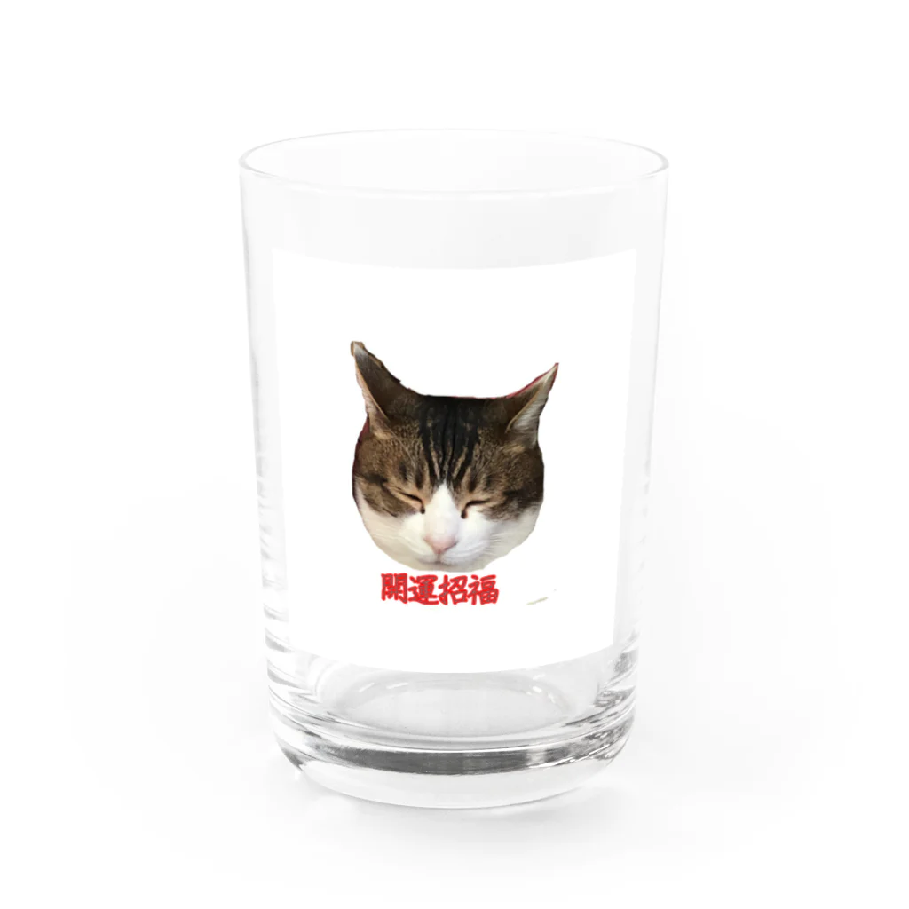 カンちゃんグッズショップのオッサン猫グッズ グラス前面