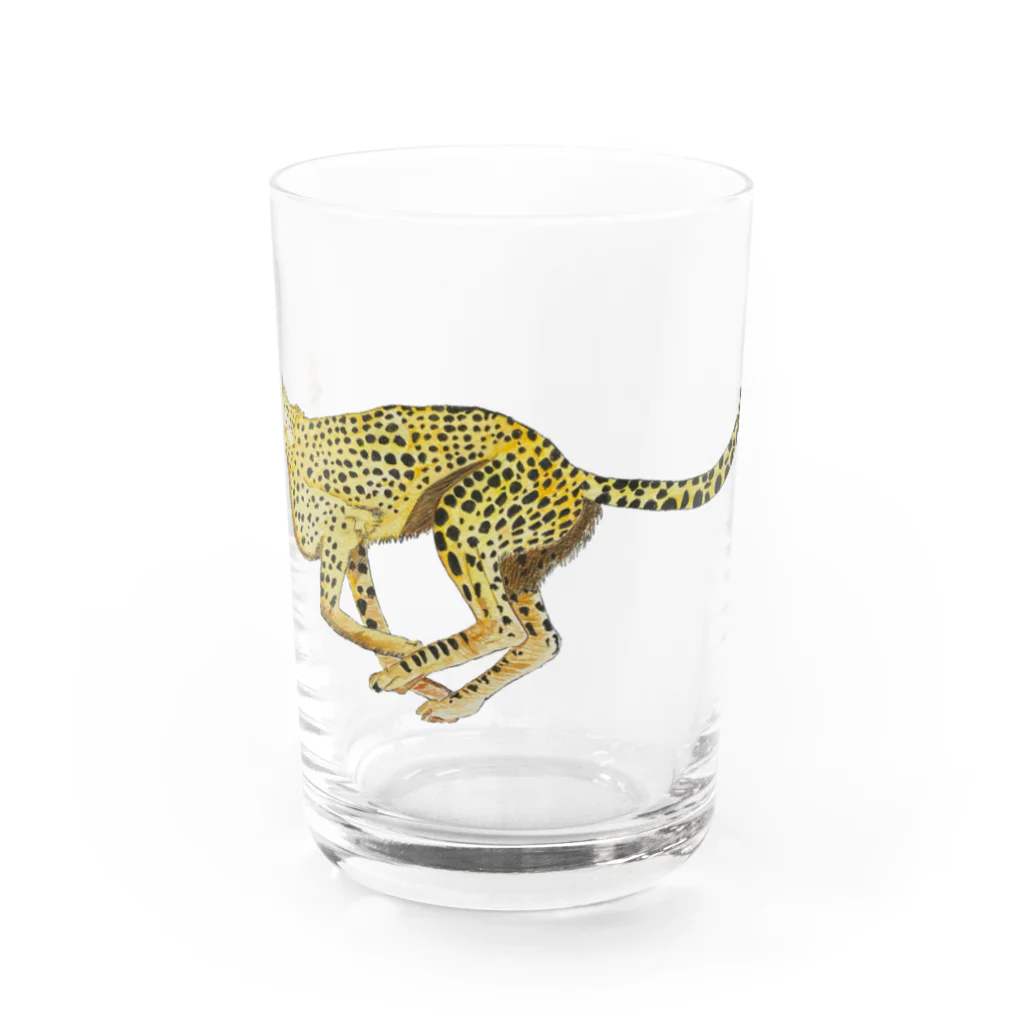 Coshi-Mild-Wildのチーター Water Glass :front