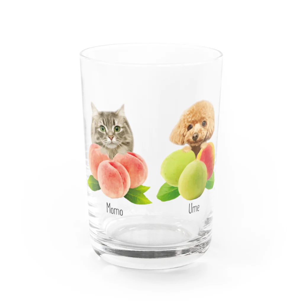 糸葉-Itoha-のMomo&Ume Water Glass :front