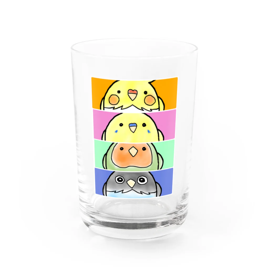 羊毛ことり‎(•ө•)tokoriのインコ ボタン オカメ コザクラ隊 Water Glass :front