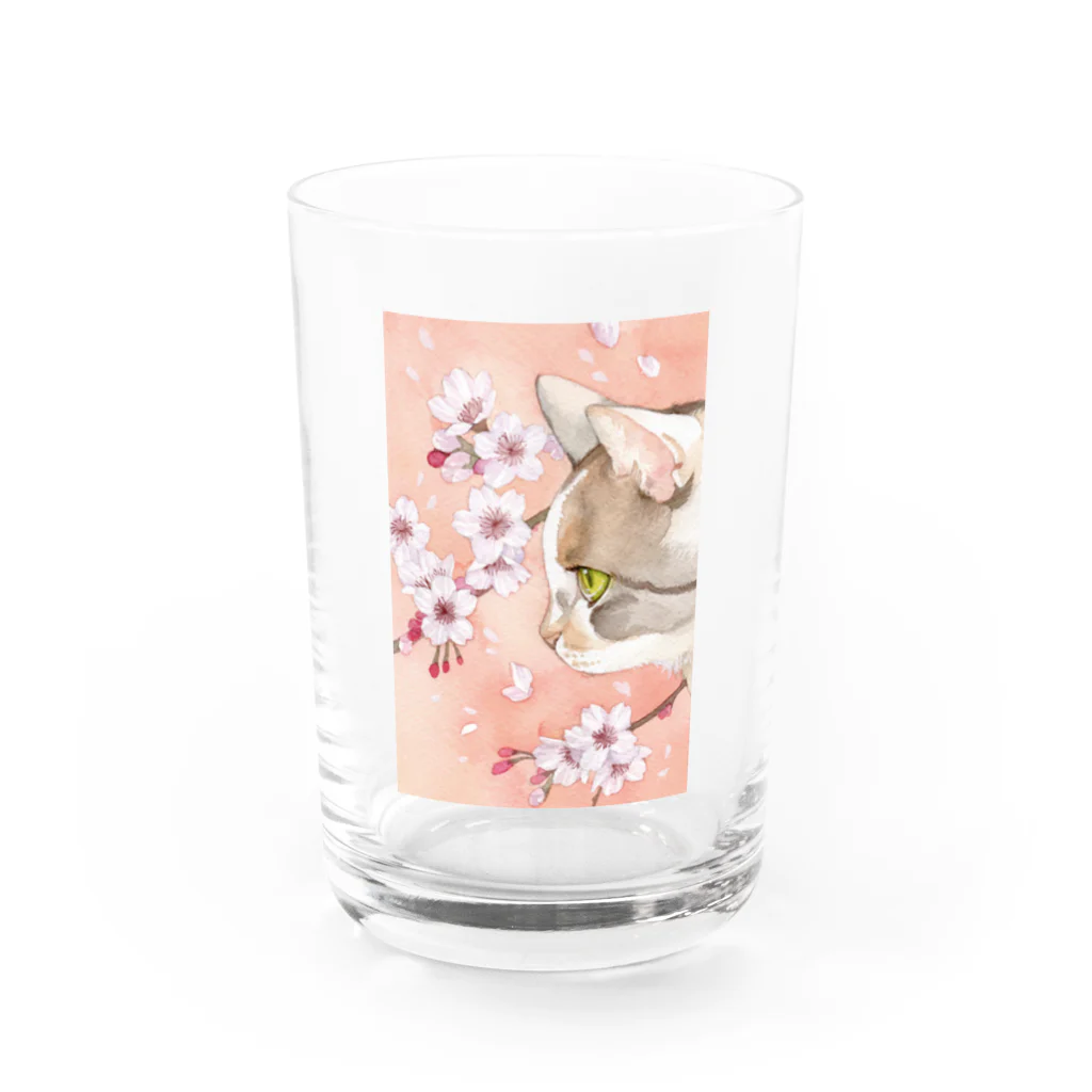 Miaws Shopの桜と三毛猫 Water Glass :front