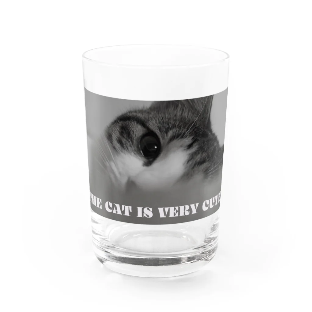 Lovely CATの猫 Water Glass :front