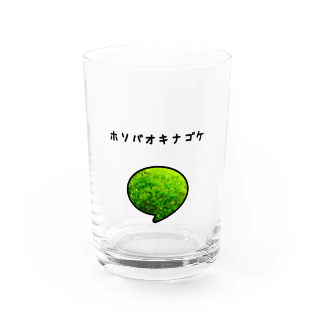 444Killsのホソバオキナゴケ Water Glass :front