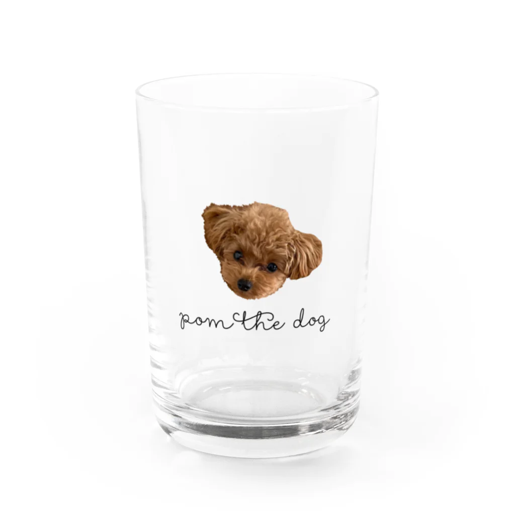 POM THE DOGのPOM THE DOG Water Glass :front