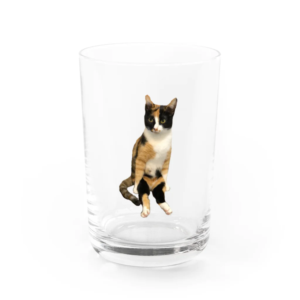 AtelierGluckのみーたん Water Glass :front