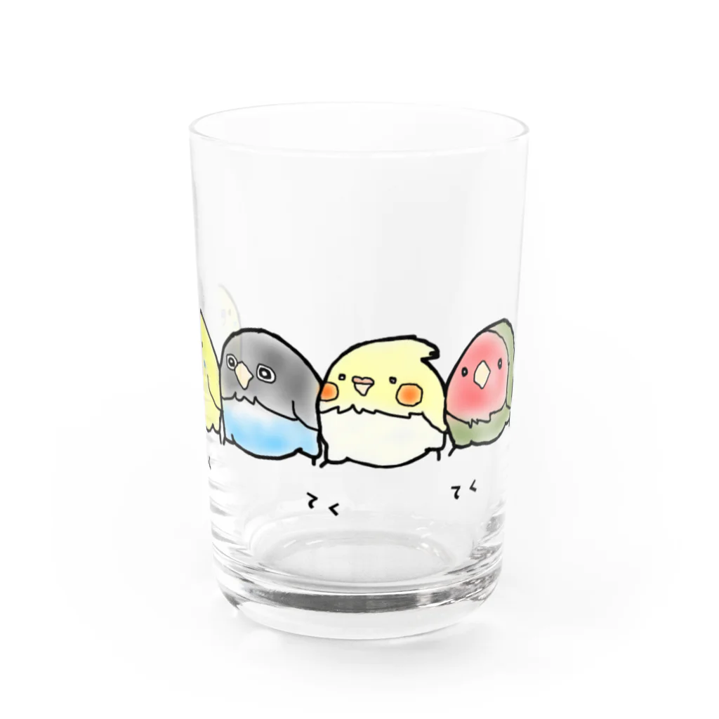 羊毛ことり‎(•ө•)tokoriのインコ ボタン オカメ コザクラ隊 Water Glass :front