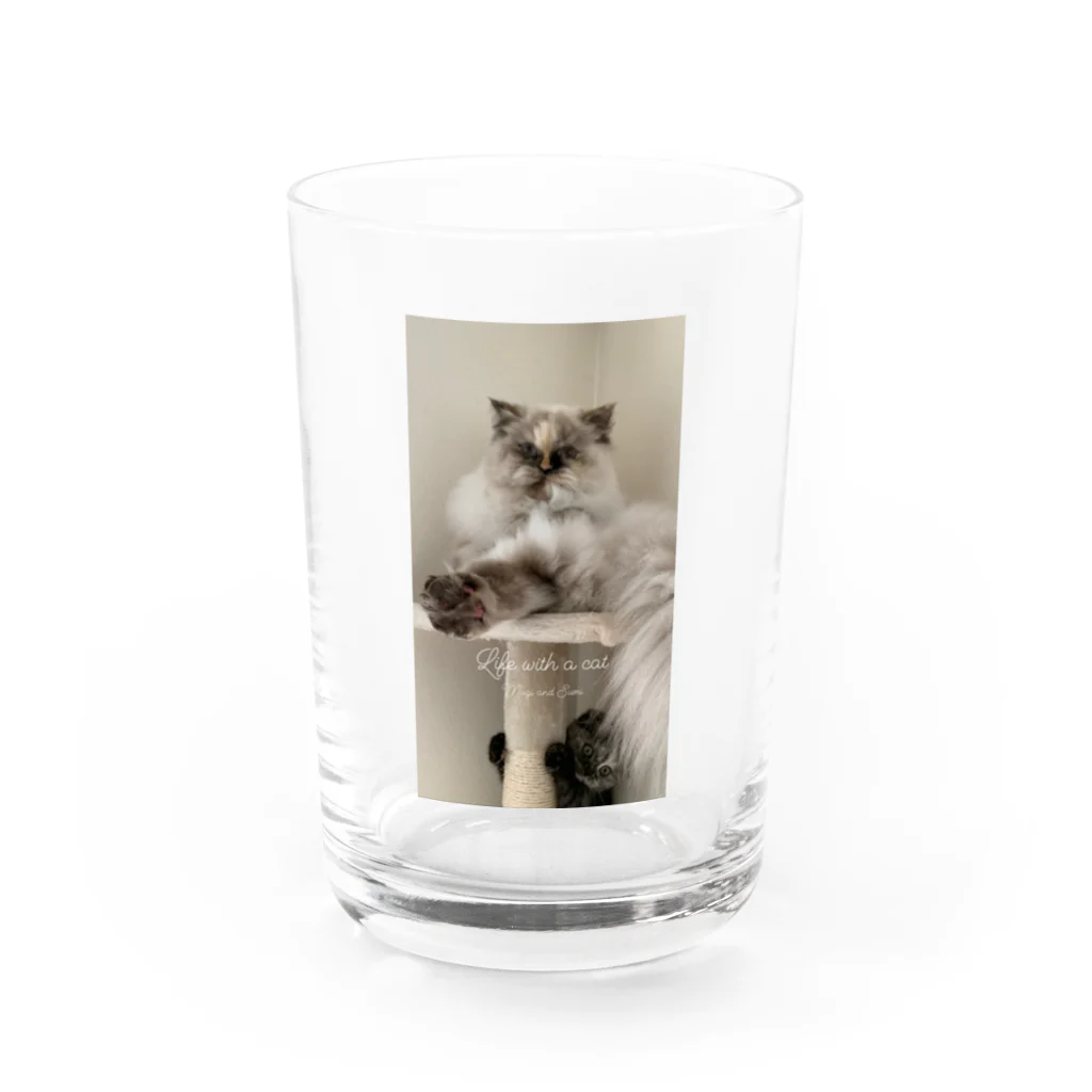 MugisumiのMugisumi Water Glass :front