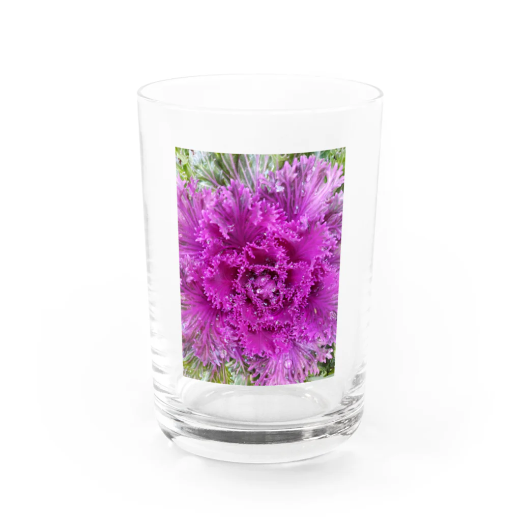 CHOTTOPOINTの【セール期間限定】 Water Glass :front