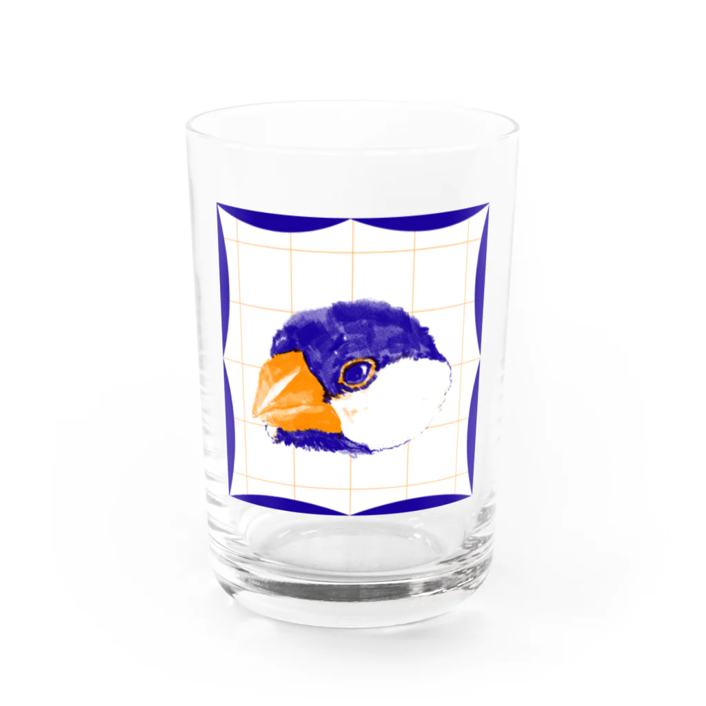 一般のオレンジ×ブルーの文鳥 Water Glass :front