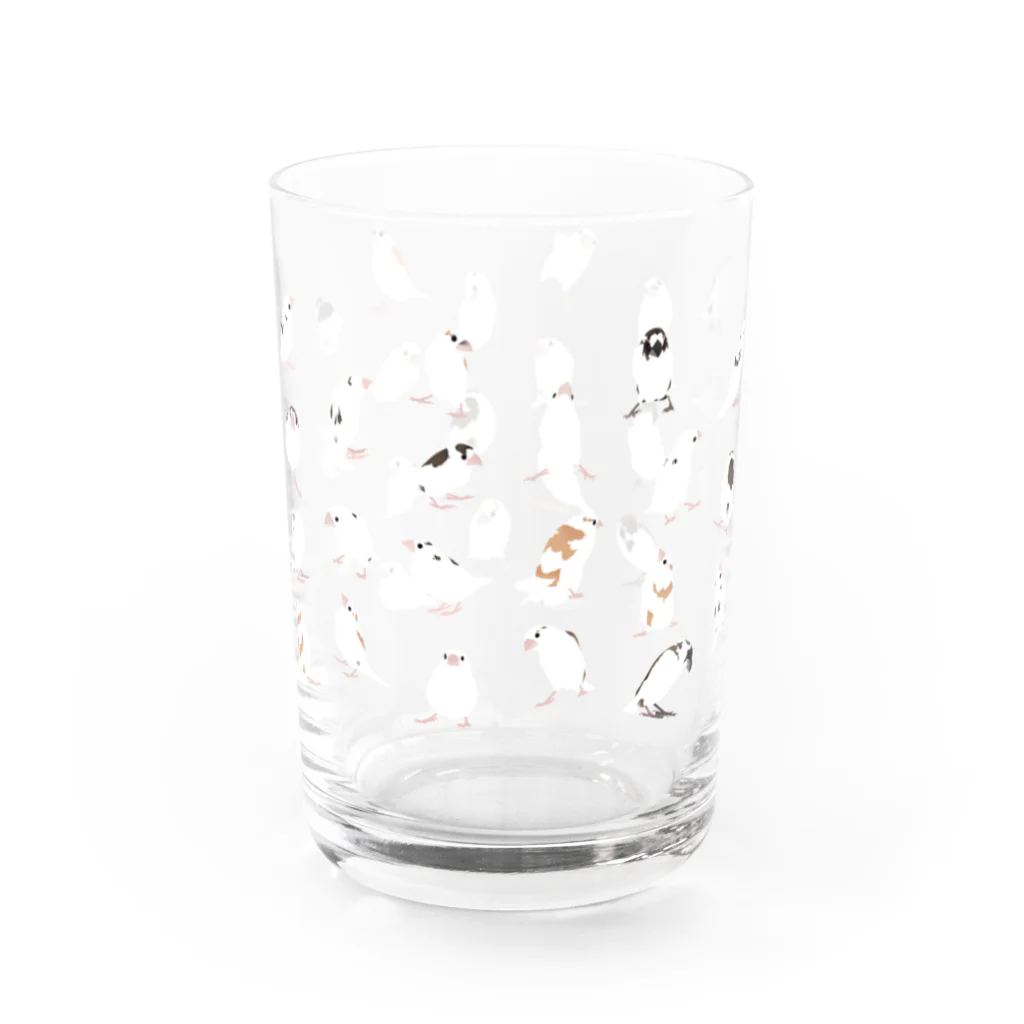 十姉妹な店のじゅうしまつ Water Glass :front