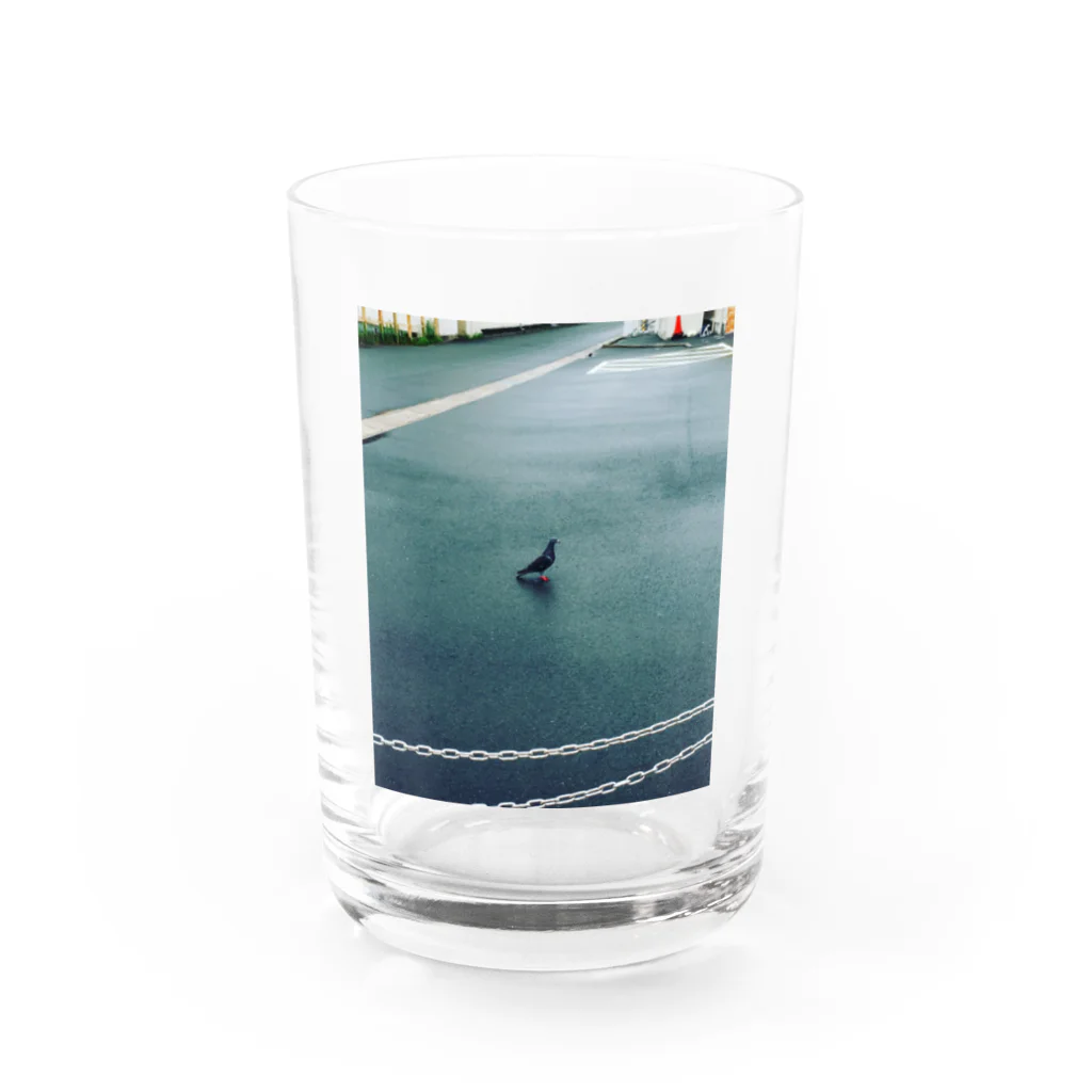 cotoriの鳩さん。 Water Glass :front