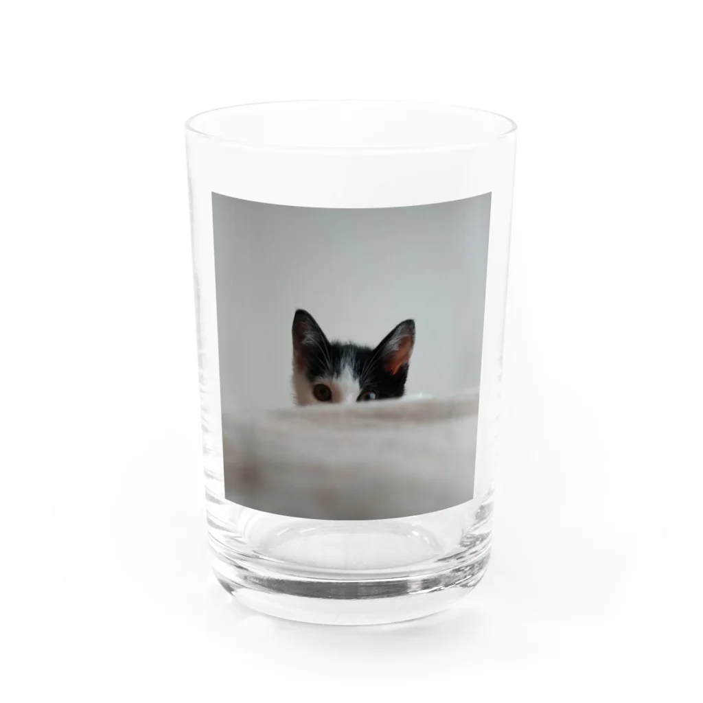 栗崎キントンのhello othello Water Glass :front