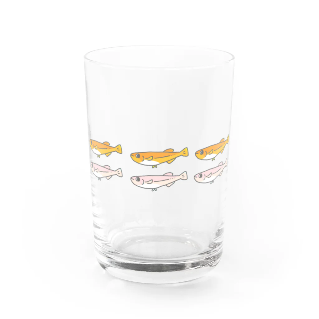 やわらか魚のめだか６匹 Water Glass :front