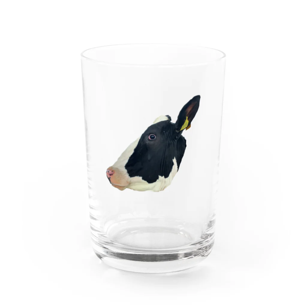 もみのきの私、カワハギ。生っぽい。 Water Glass :front