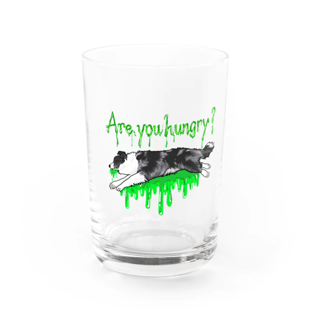 ボーダーコリー景虎のボーダーコリー景虎グッズ Water Glass :front