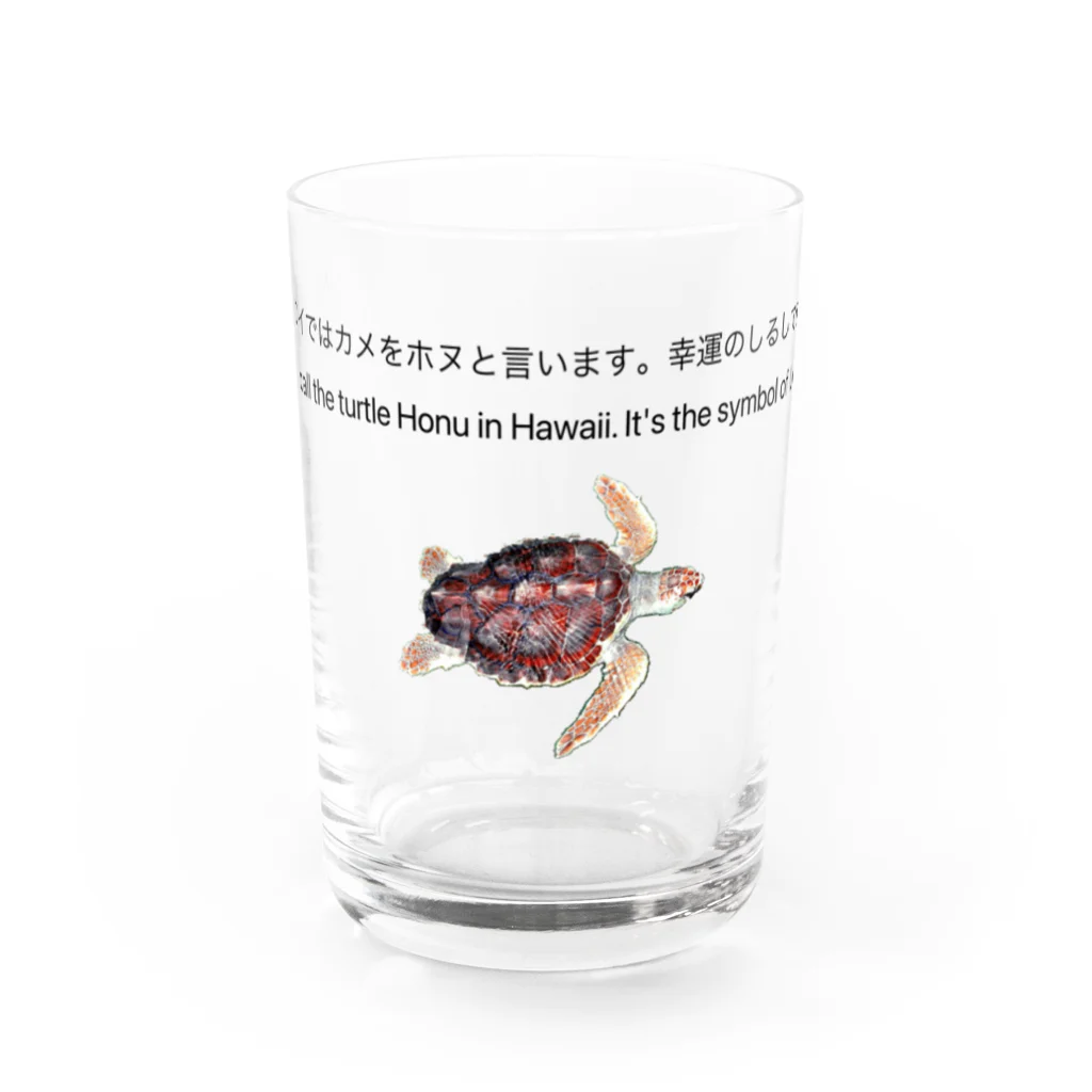 PHENOMENONのHONU Water Glass :front