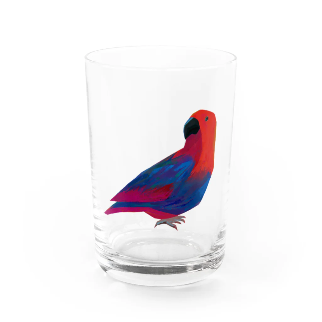 髙野ぺんのオオハナインコ Water Glass :front