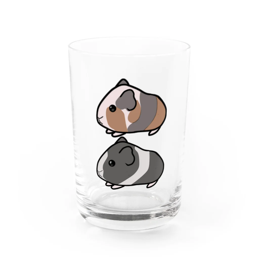 みぅ福島のモルモット♥️イラストグッズ Water Glass :front