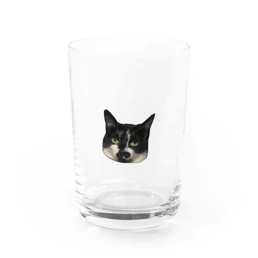 happiness_maiのしかめ面の小豆 Water Glass :front