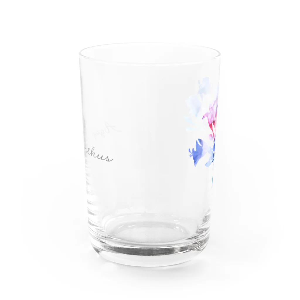 ひのいろ研究室　購買部のアガパンサス：恋の訪れ Water Glass :front