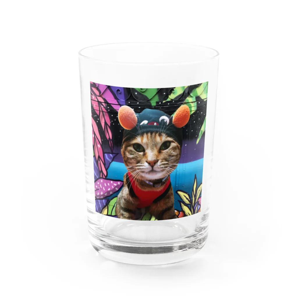 猫雑貨さんちこのヒップホッププリピ！ Water Glass :front