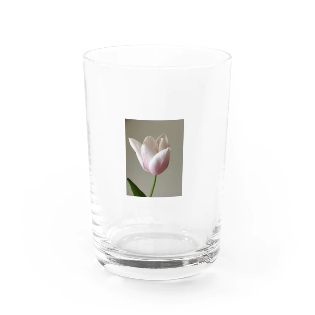 花の文具屋さんのpink tulip グラス前面