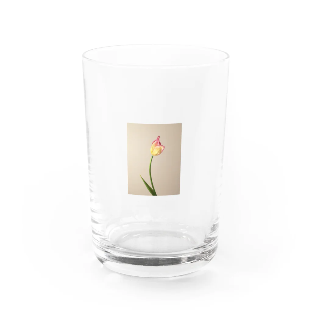 花の文具屋さんのpink/yellow tulip  Water Glass :front