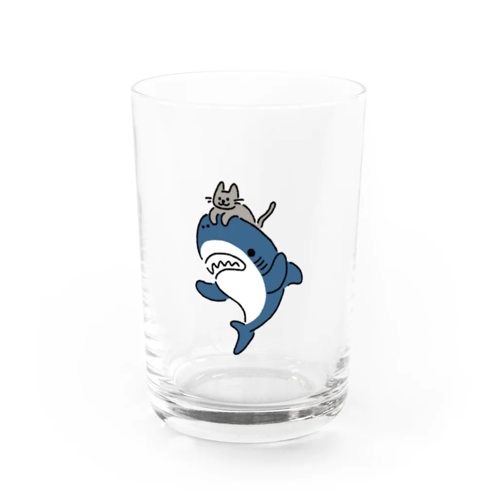 サメ わりとおもいのネコをかぶるサメ グラス前面