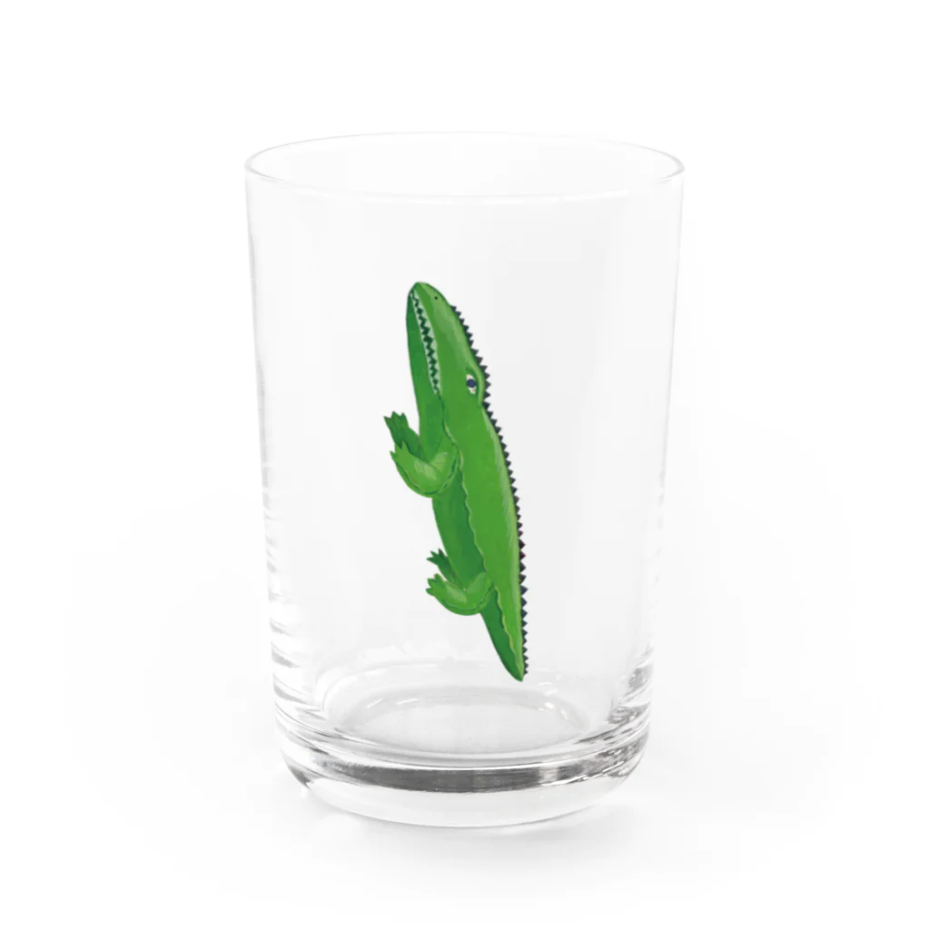 サイドメニューのワニ。 Water Glass :front