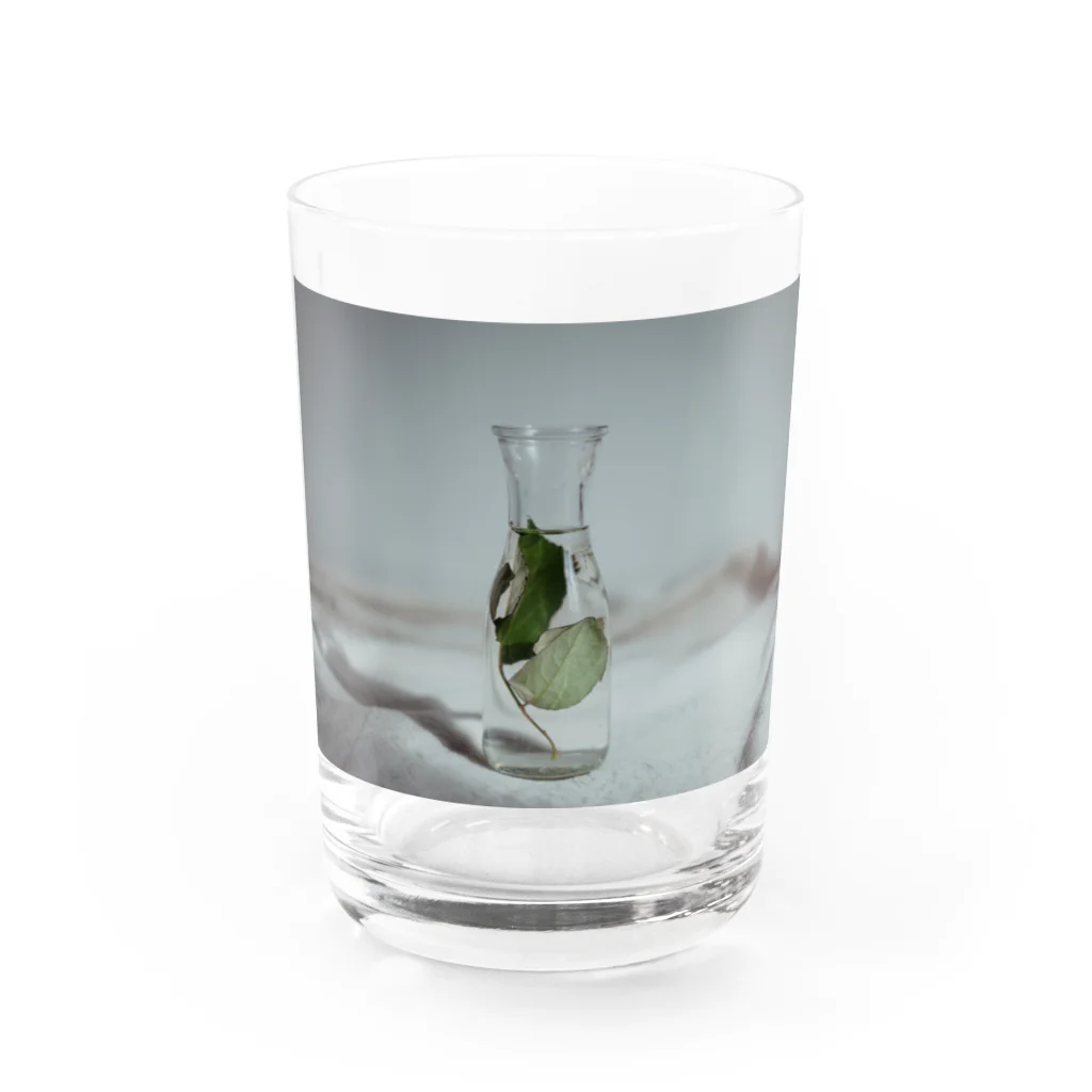 manimaniumの命の標本 Water Glass :front