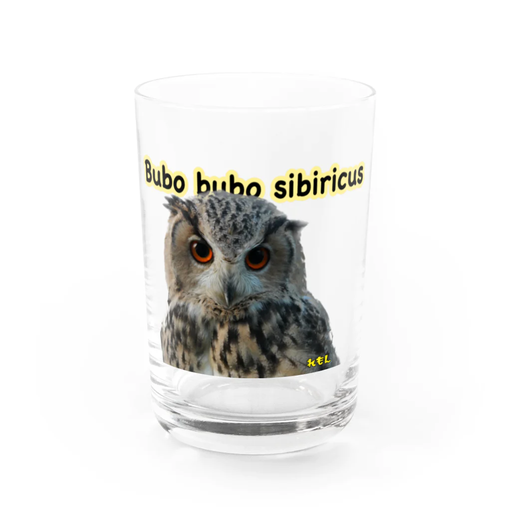 れもんのシベワシズクのれもんです！ Water Glass :front