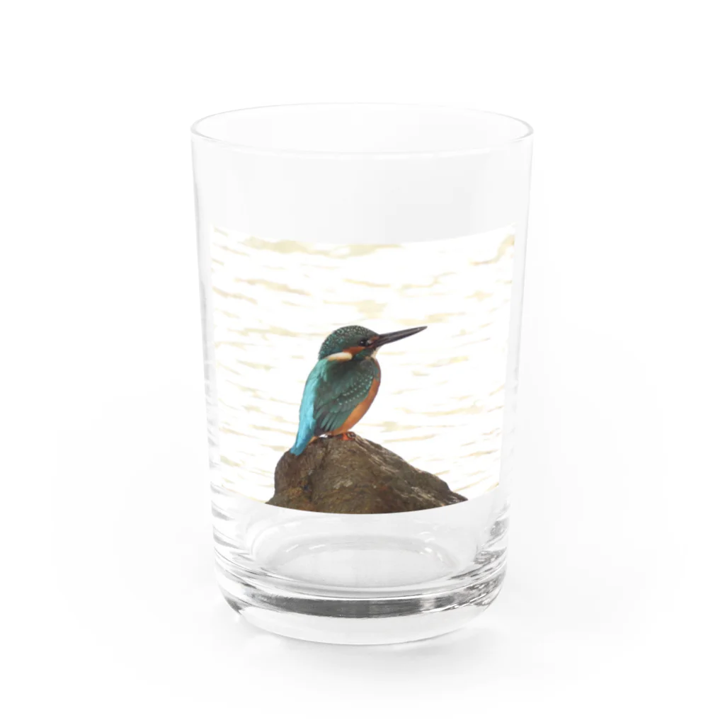 カワセミLOVEの石の上にもカワセミ Water Glass :front