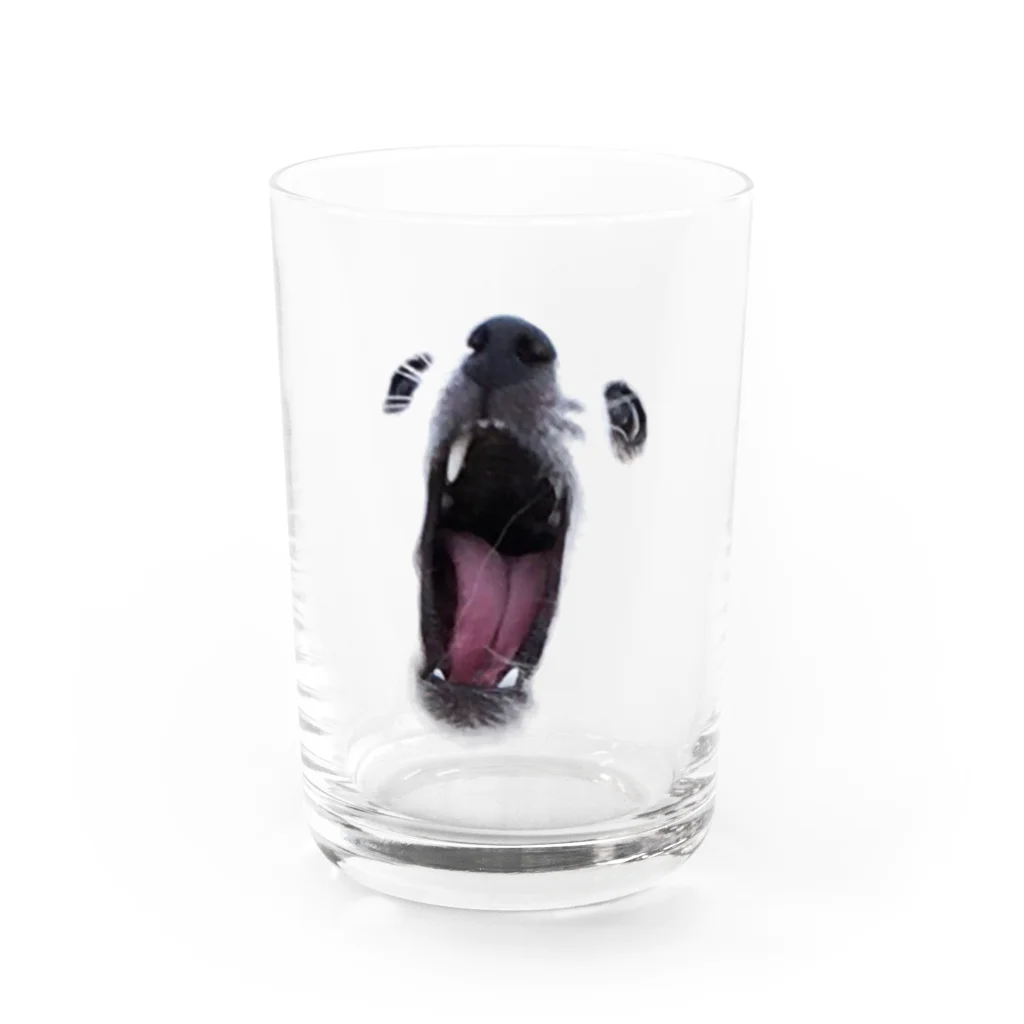アカペン@ポンコツ味噌汁の犬&同化 Water Glass :front