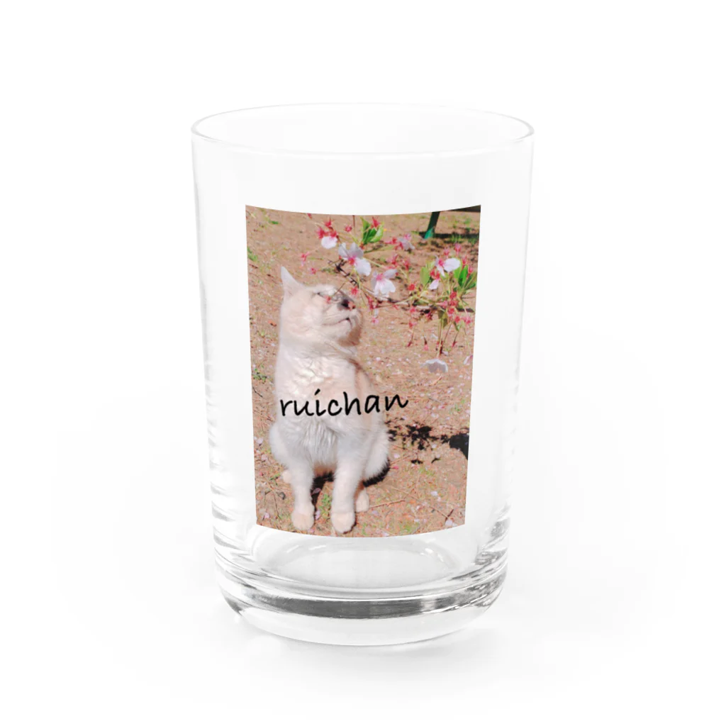 shihoのruichan Water Glass :front